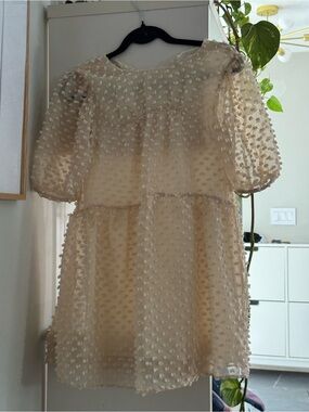 Zara Cream Swiss Dot Puff Sleeve Dress - Ivory